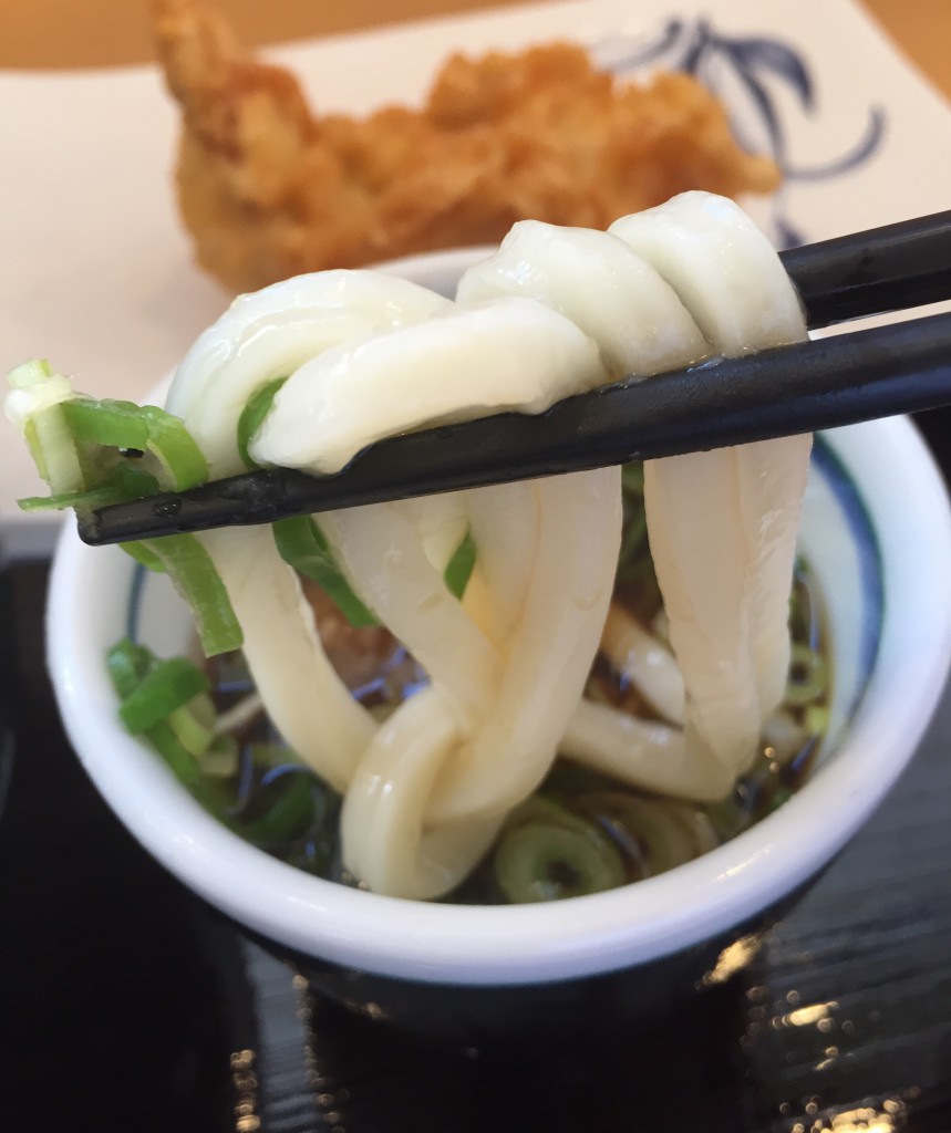 岡じまの釜あげうどん