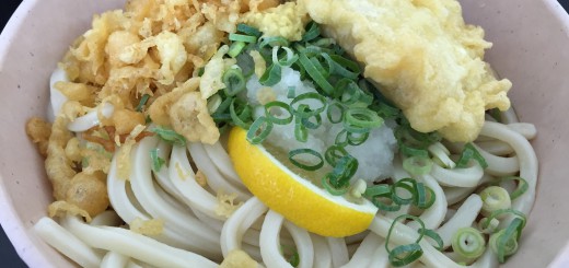 ぶっかけうどん　高野豆腐の天ぷら