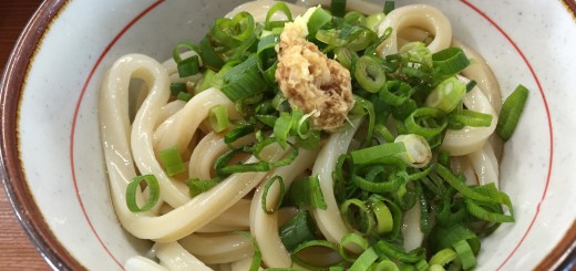 しょうゆうどん