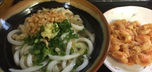 かけうどん