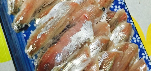 イワシの刺身　酢〆