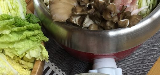 récolte ポットデュオ エスプリで水炊き