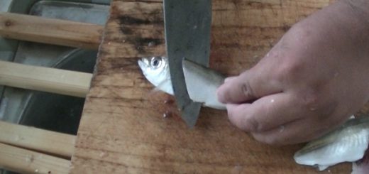 アジの大名おろし